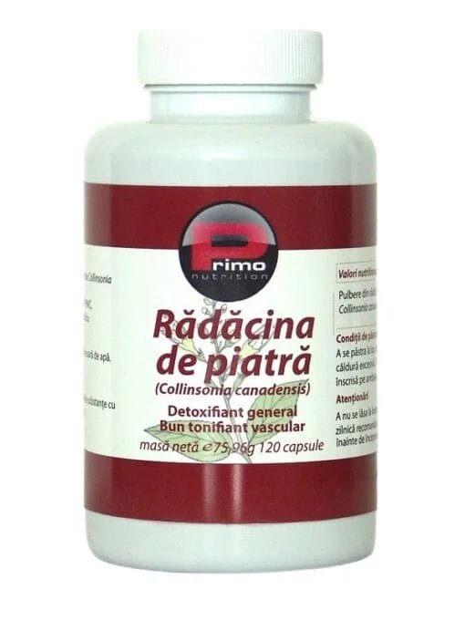 Raíz de Piedra (Collinsonia canadensis) para varices/hemorroides 500 mg, 120 cápsulas - Doctor Cip - ¡Tu cuerpo te lo agradecerá!